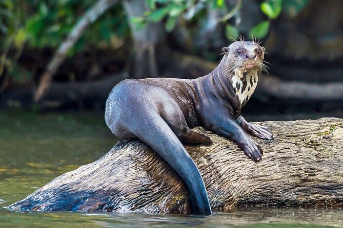 Tambopata National Reserve Tour (3 Days) - Frequently Asked Questions