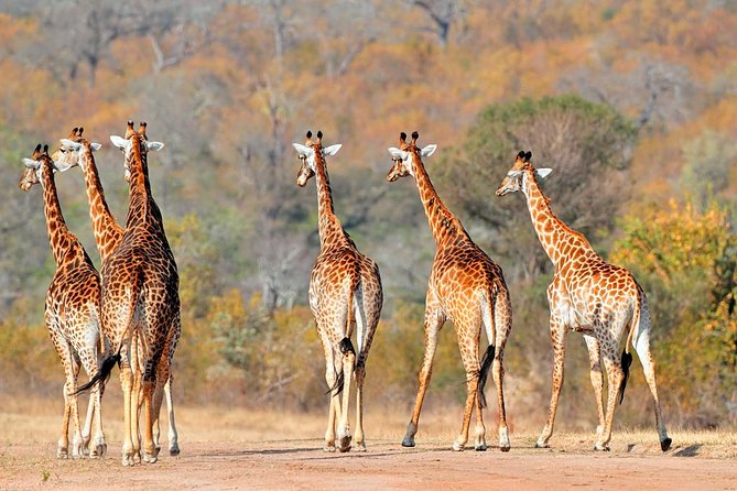 Tanzania 3-Day Private Safari With Full Board - Daily Itinerary Highlights