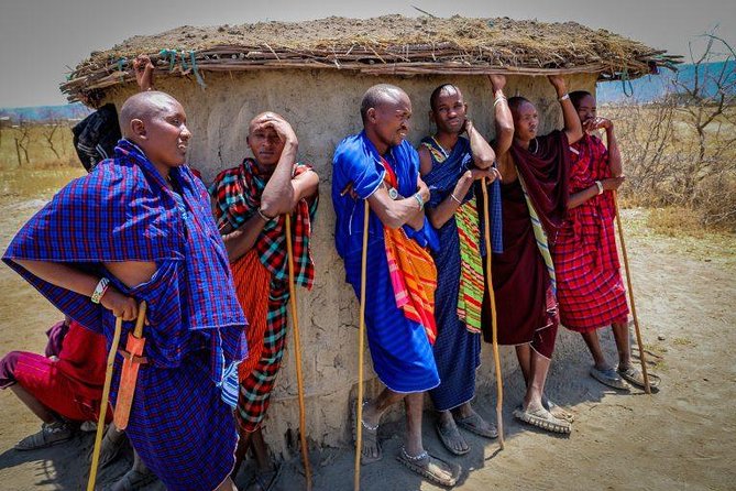 Tanzania Safari - 7 Days Cultural Safari. - Day 4: Wildlife Encounters