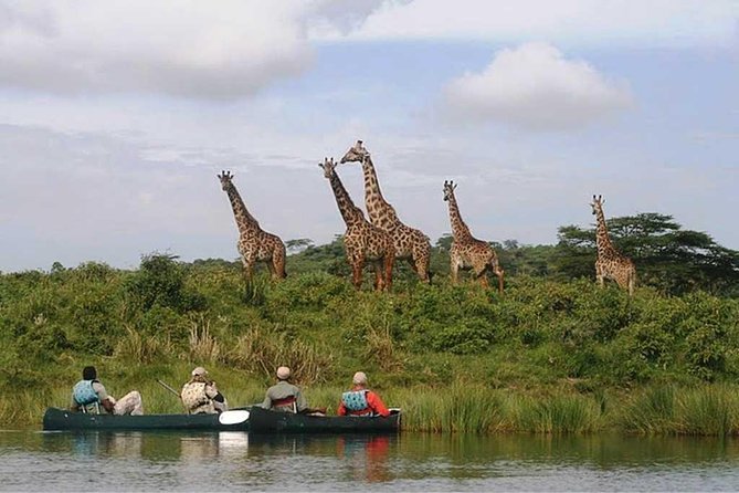 Tanzania Safaris | 3 DAYS SAFARI - L.Manyara NP,Tarangire NP& Ngorongoro Crater. - Included Amenities