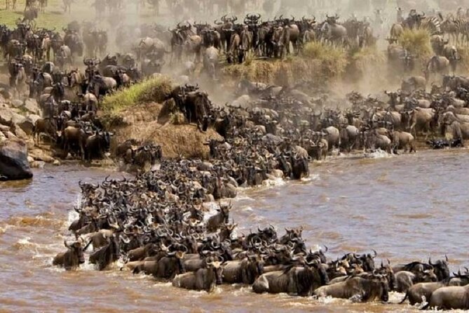 Tanzania Serengeti & Zanzibar 9 Days Holiday - Park Fees and Activities