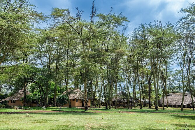 Tarangire and Lake Manyara National Park 2-Day Safari From Zanzibar With Flights - Activity Details
