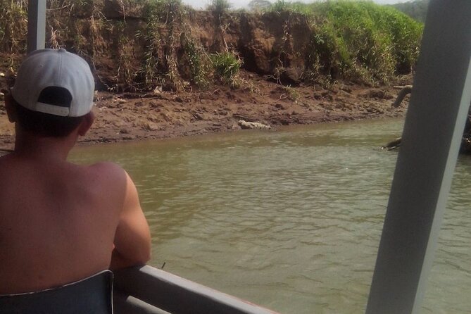 Tarcoles River Crocodile and Wildlife River Trip From San Jose - Wildlife Encounter Highlights