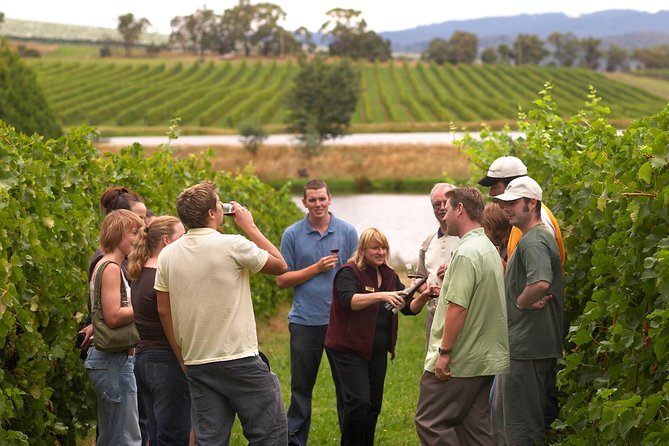 Taste First Organic Wine in Meysari Village in Shamakhy - Meeting Point