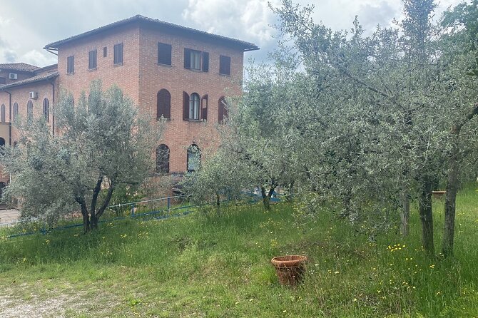 Tasting of Wines, Cheeses and Tuscan Products in Val Dorcia - Tuscan Product Showcase