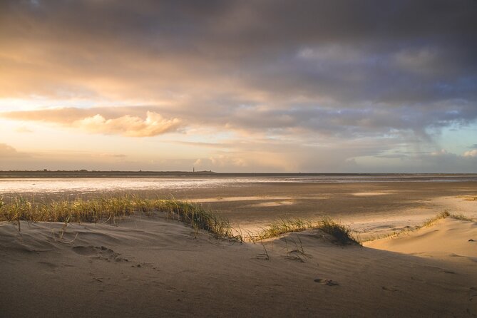 Texel Day Tour With Guide - Meeting Point and Transportation