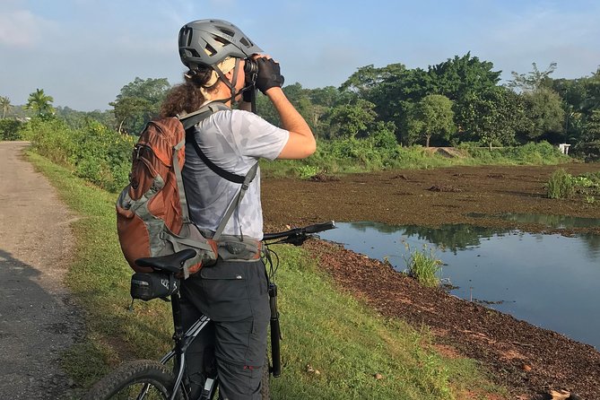 Thalangama Wetland Cycling Tour From Colombo - Detailed Itinerary