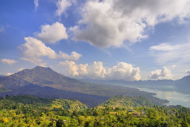 The Art and Nature of Diverse Bali
