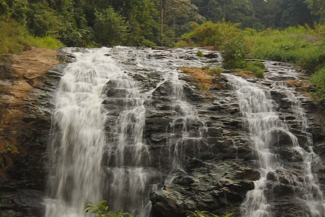 The Beauty And Culture Of Coorg - From Bangalore With Private Transfer - Frequently Asked Questions