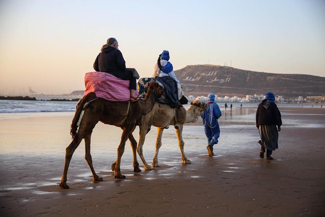 The Best Of Agadir - Full Day Activities - Lunch at a Traditional Moroccan Restaurant