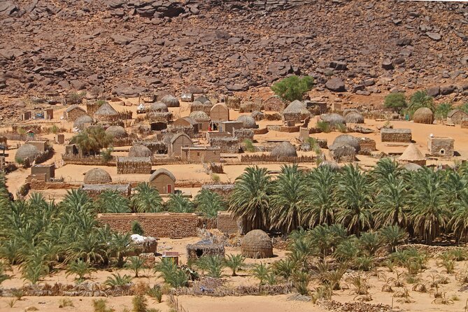 The Best of Nouakchott Tour by Car - The Sum Up