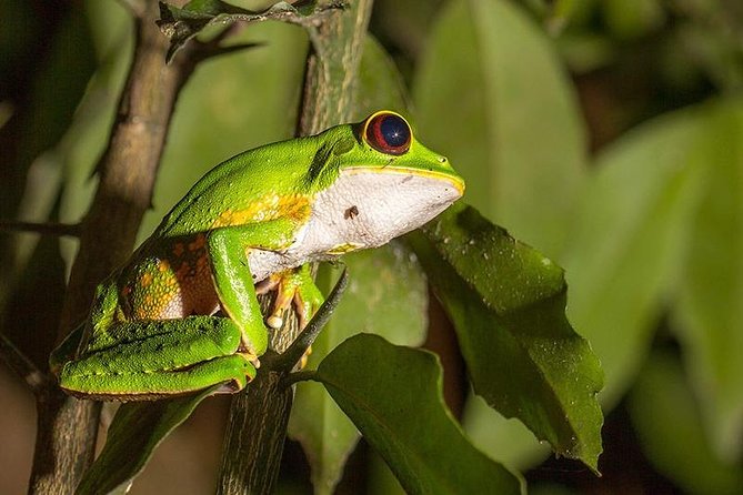 The Best of Tarapoto 4 Days and 3 Nights - Accommodation Options