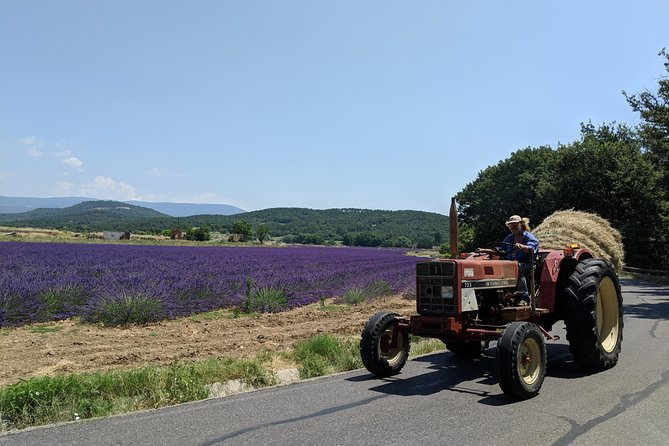 The Hilltop Villages of the Luberon - Additional Information