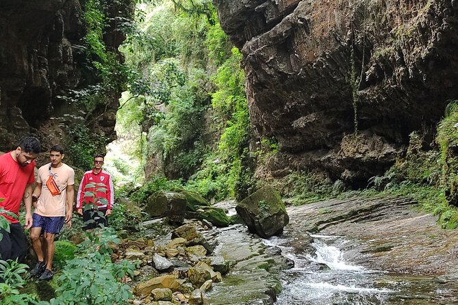 The Jaguar Fountain / Immerse Yourself in the Jungle of Jujuy - Location and Activity Details