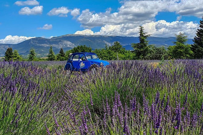 The Lavender Road in 2cv - Meeting Point and Starting Time