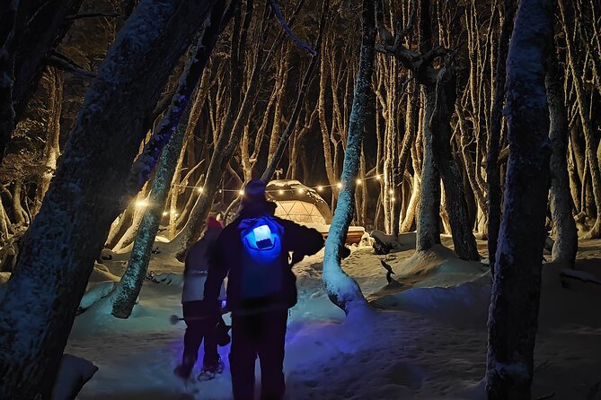 The Martial Glacier at Night With Dinner Included - Pricing and Guarantee