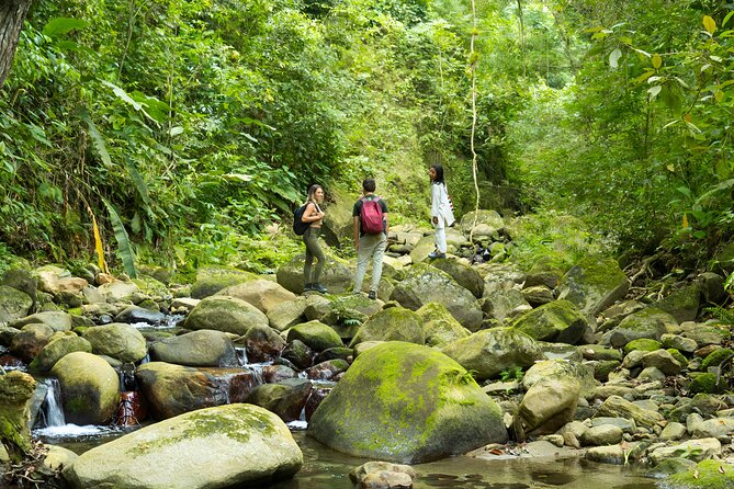 The New Lost City Bunkuany Tour Trekking - Inclusions