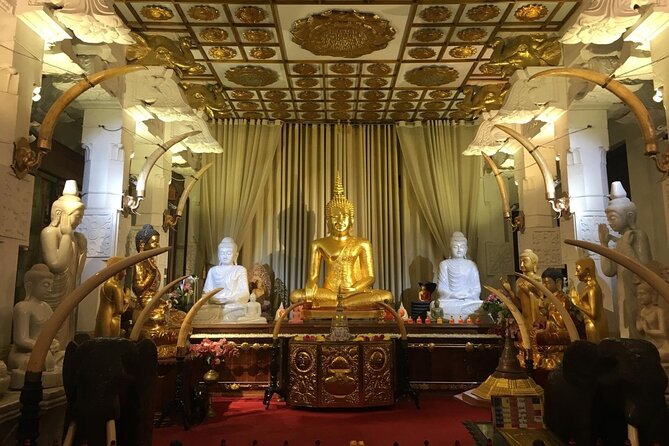 The Top 10 Car & Driver Private Tour for Week Start From Colombo - Tour Pricing
