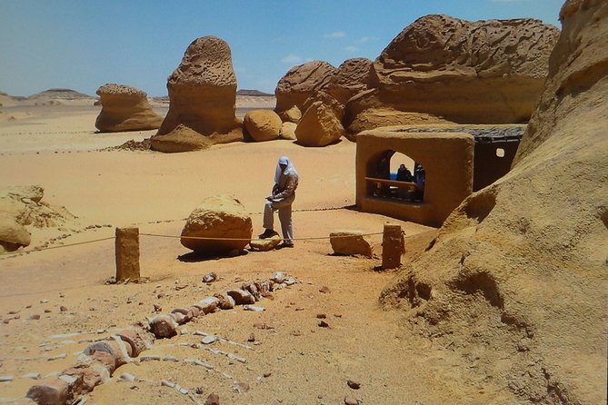 The Valley Of The Whales Two Days Tour From Hurghada With Camping - Meeting and Pickup Details