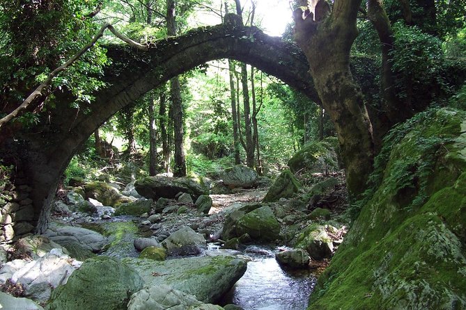 Thessaloniki to Volos and Pelion – Private Day Trip - Inclusions and Amenities