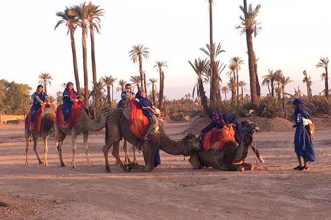 Things to Do in Marrakech: Camel Ride Experience - Booking Directions