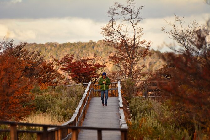 Tierra Del Fuego National Park PM - With Dinner Included - Cancellation Policy