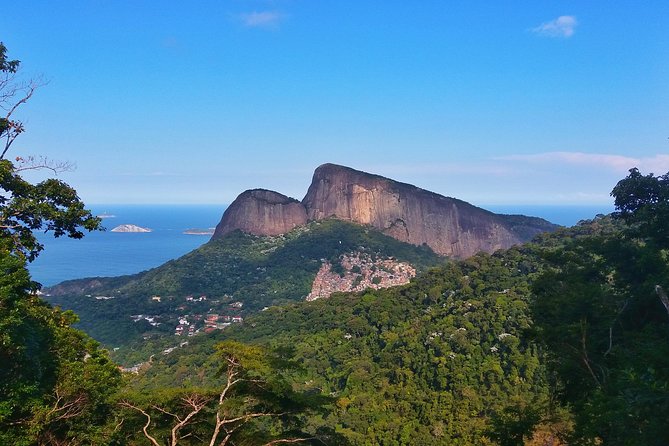 Tijuca Forest Trail Running Tour - The Sum Up