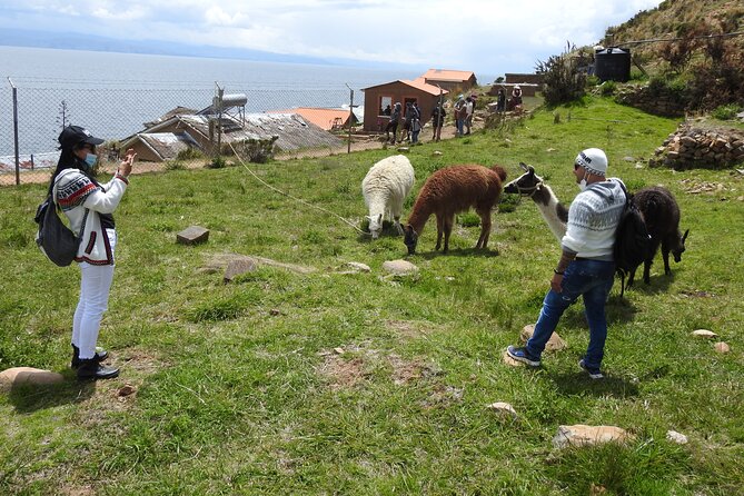 Titicaca Lake & Sun Island – 2 Days Tour – English Speaking Guide - Recommendations