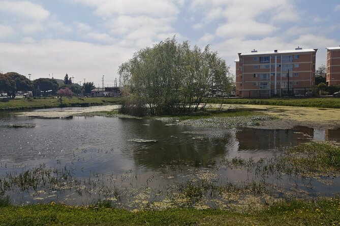 Tour Around the Lagoons of Concepción - Tour Inclusions and Accessibility