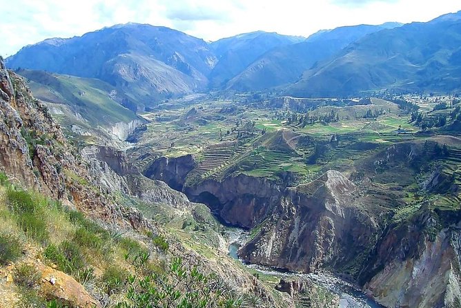 TOUR COLCA CANYON (FULL DAY) - Shared Service - The Sum Up