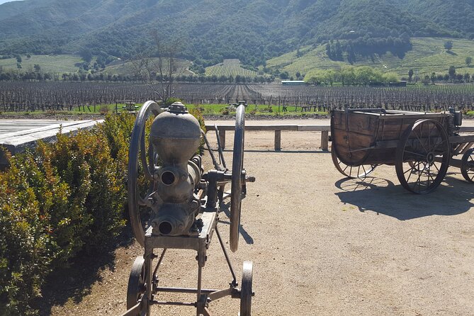 Tour in Colchagua Vineyards Montes and Vineyards Viu Manent - Experience at Viu Manent Vineyards