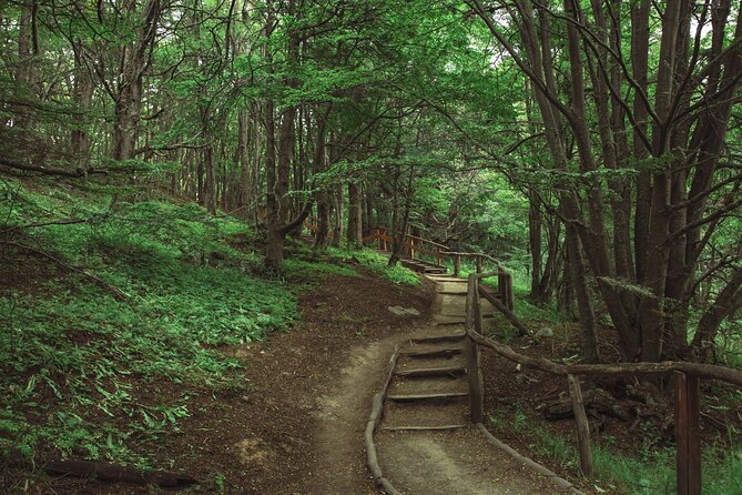 Tour in Tierra Del Fuego National Park With Trekking - Wildlife Encounters