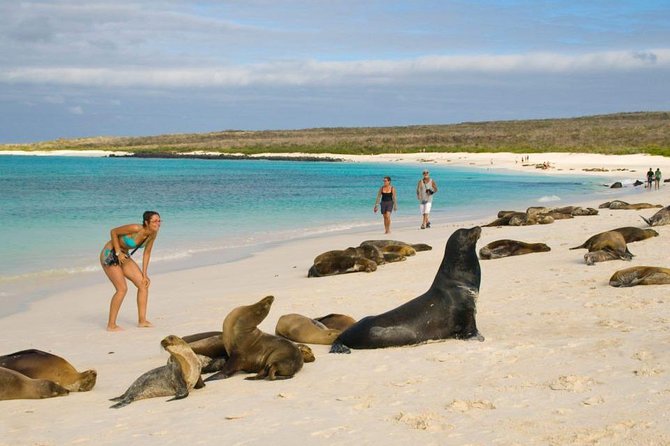 Tour Quito + Galapagos + Guayaquil / 7 Day Tour - Accessibility Information