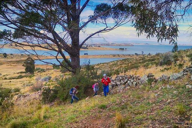 Tour to Anapia Island From Puno 2 Days 1 Night - Inclusions