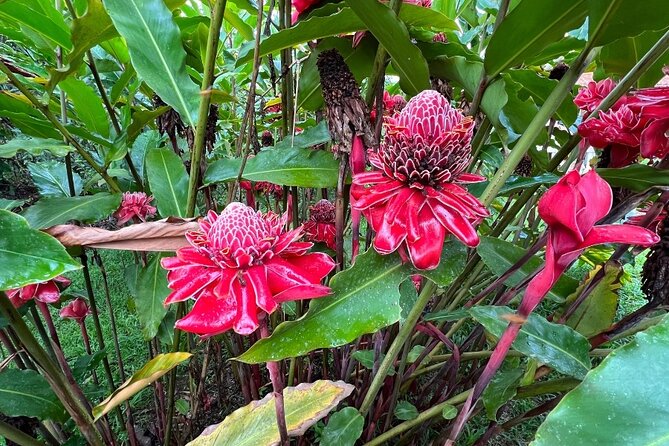 Tour to Manu Jungle 3 Days - Pickup and Departure Details