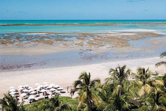 Tour to São Miguel Dos Milagres Beach With Departure From Maragogi - Booking Options