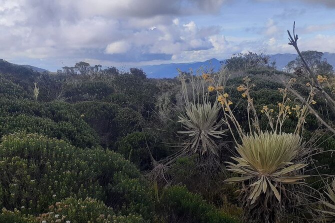 Tour to the Magical Moorland of Sumapaz - Birdwatching Unique Species - Packing Essentials