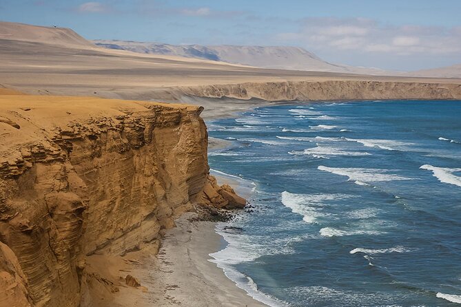 Tour to the Paracas National Reserve for Cruise Travelers - Services Provided