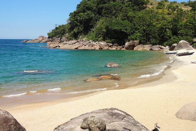 Tour to the Ponta Negra Traditional Community - BY PARATY TOURS - Schedule Details