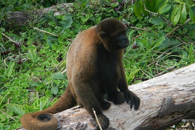 Tours to the Amazon - Indicchuris Jungle | Amazon Rainforest Tours - Cancellation Policy and Requirements