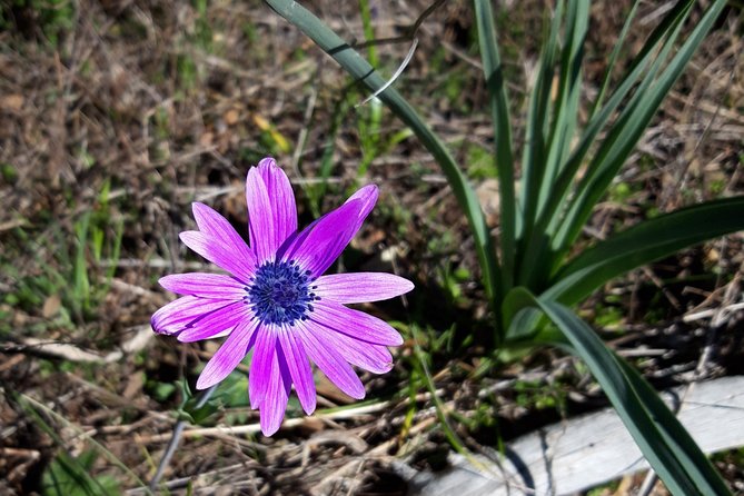 Tracks of the Ogliastra Mountains - Directions and Reservation Information