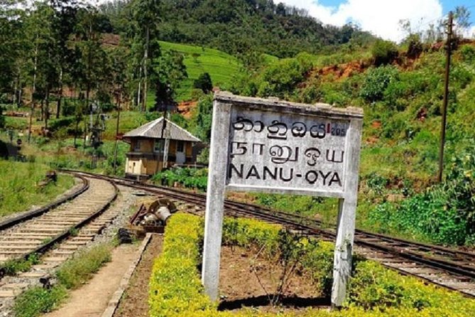 Train Tickets From Kandy to Nuwara Eliya or Hatton Station - Price and Availability