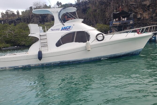 Transfer From Isabela Island to Santa Cruz Island - Inclusions of the Service