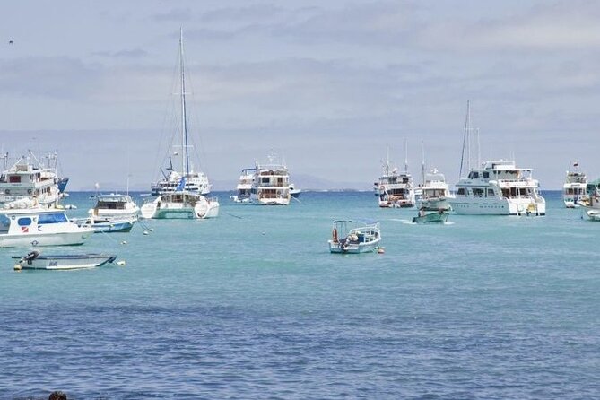 Transfer From Santa Cruz Island to San Cristobal Island - Meeting Point and End Point