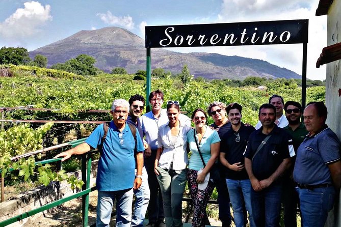 Transfer From Sorrento to Naples With Wine Tasting (1-8 Pax) - Booking Confirmation