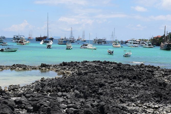 Transfer From the Airport to Hotel With Excursions in Santa Cruz Island - Tips for a Great Experience