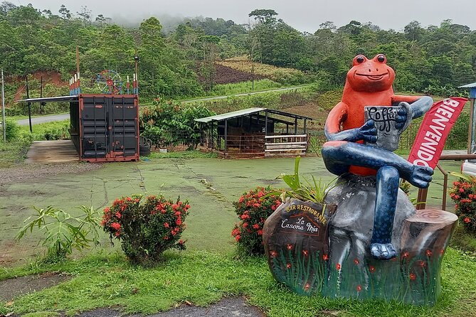 Transfer SJO Airport TO La Fortuna Arenal Hotels Private One Way - Accessibility Features