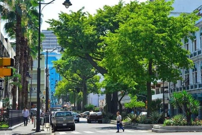 Transfers From Guayaquil Airport to the Hotel - Pickup Details