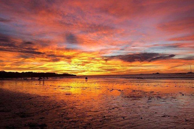 Transfers Tamarindo Diria or Occidental Tamarindo, Round Trip. - Cancellation Policy