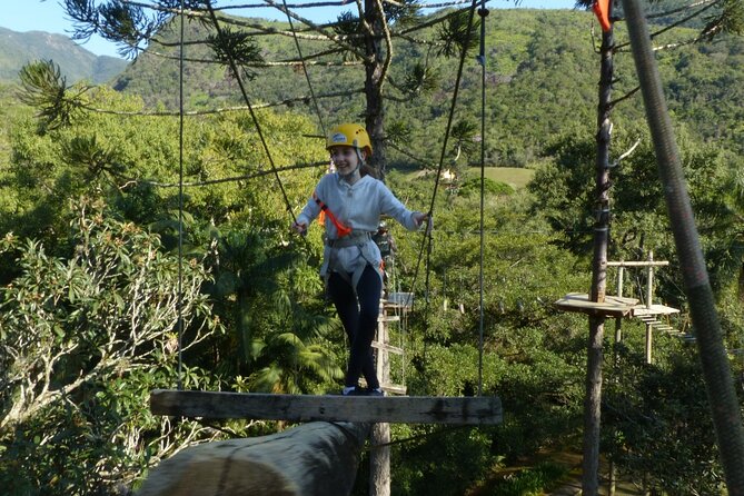 Tree Climbing Among the Araucarias - The Sum Up